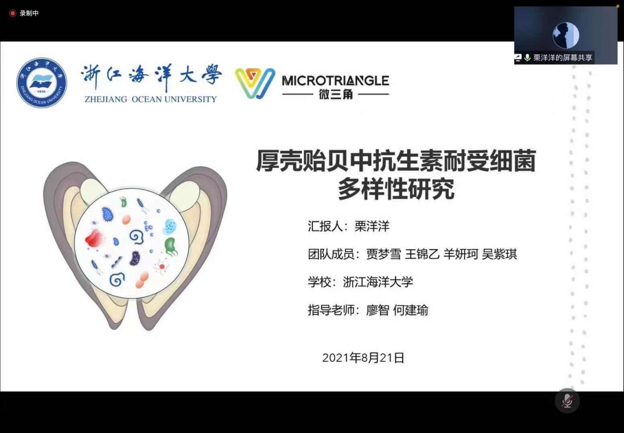 开元游戏