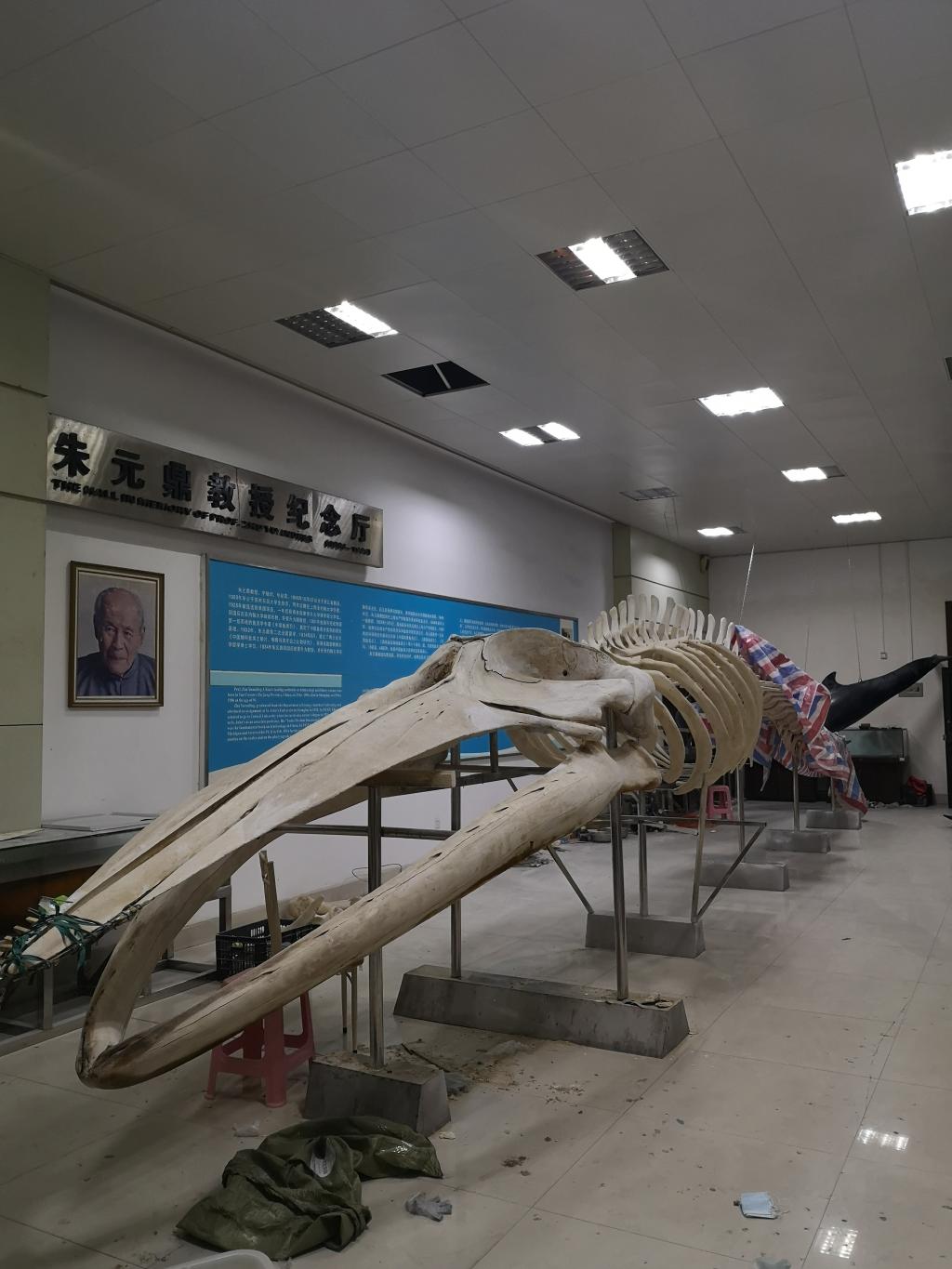 开元游戏