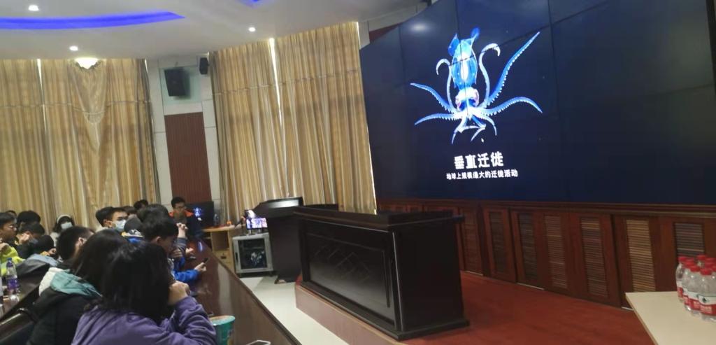开元游戏